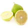 Bergamot