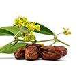 Jojoba Oil